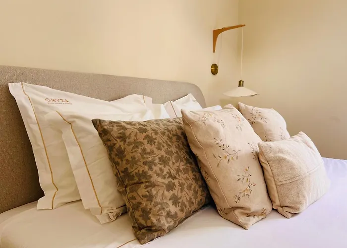 Oryza Guest House& Suites