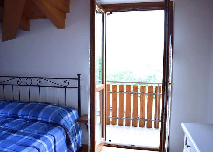 La Pineta