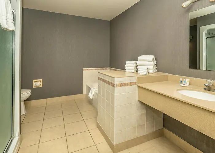 Comfort Inn West