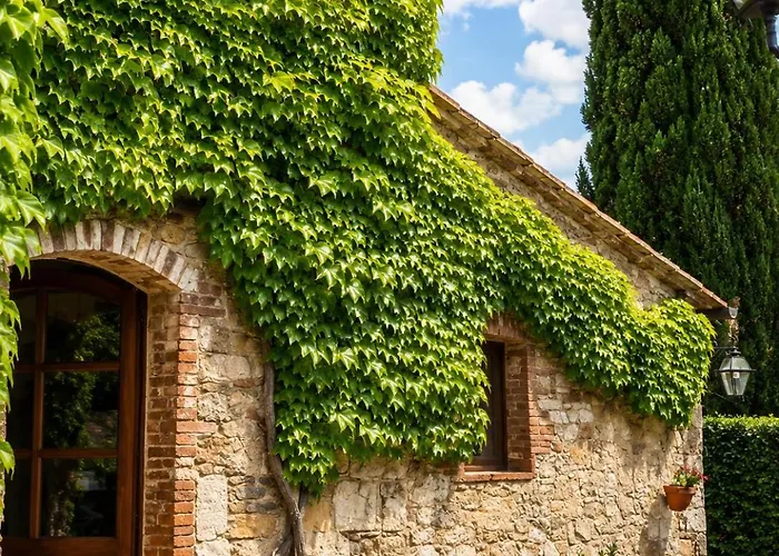 Borgo Livernano