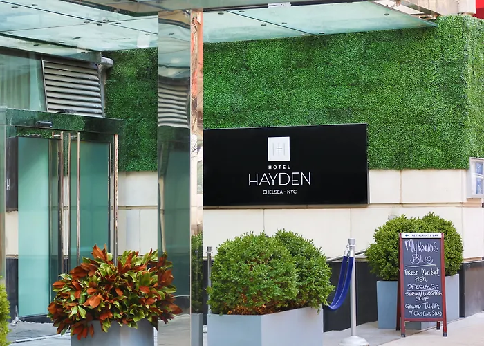 Hayden