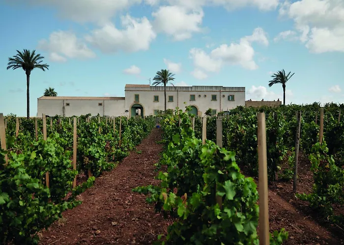  Baglio Donnafranca Wine