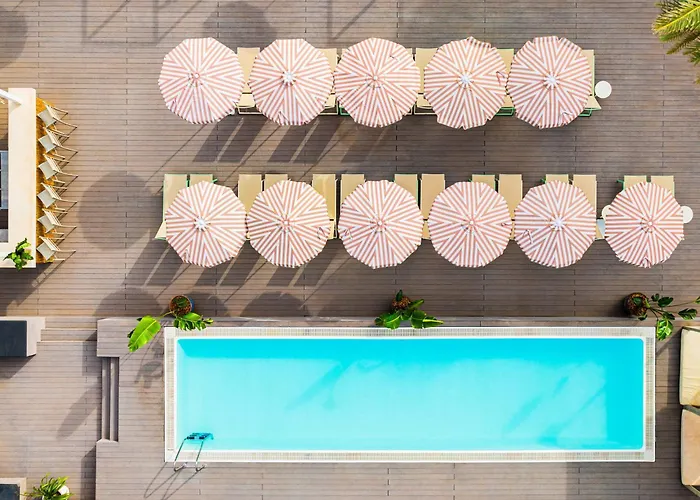 Hotels With Four Stars Sol House Mallorca (Adults Only)