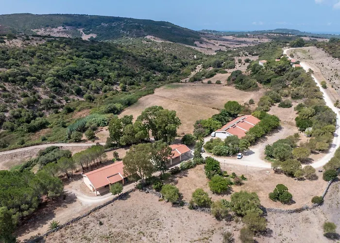Perros hoteles Monte Ricciu