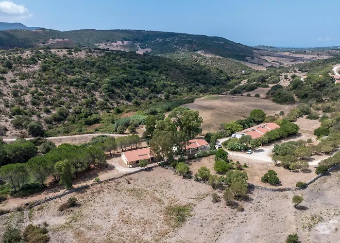Perros hoteles Monte Ricciu
