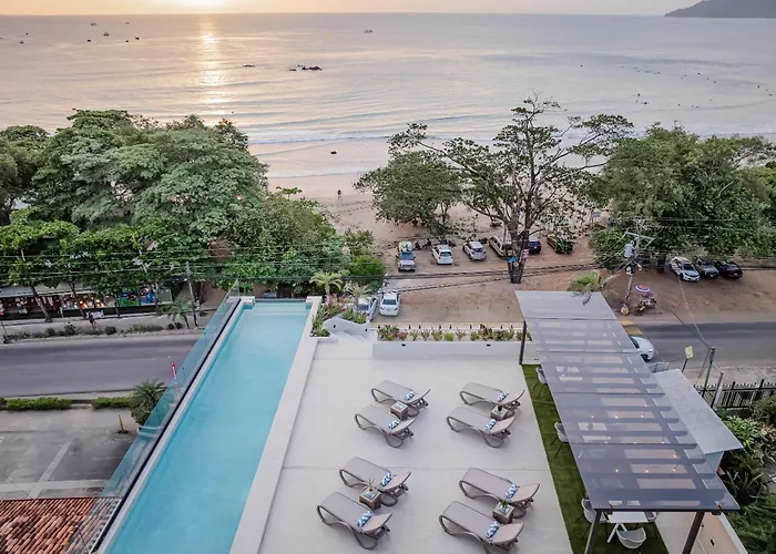 Iguana Surf Camp