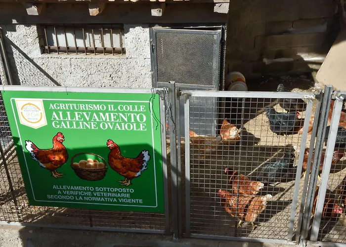 Agriturismo Il Colle