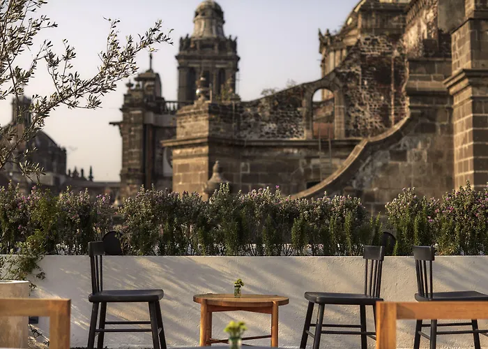 Dog friendly hotels Circulo Mexicano, A Member Of Design s