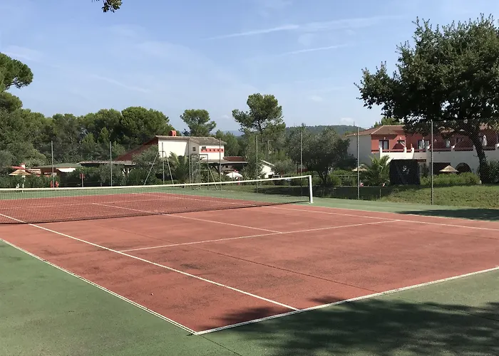 Les Pins Blancs En Provence