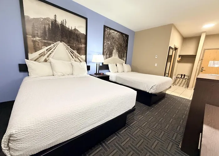 Super 8 By Wyndham Edmonton/West