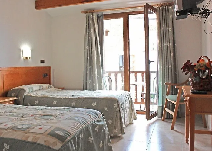 Perros hoteles La Maya
