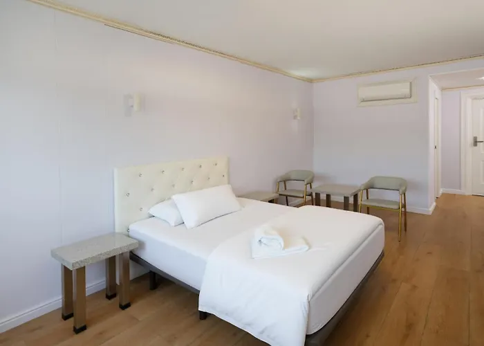 Perros hoteles Aviacion