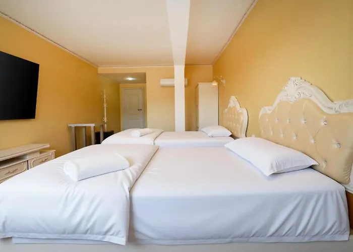 Perros hoteles Aviacion