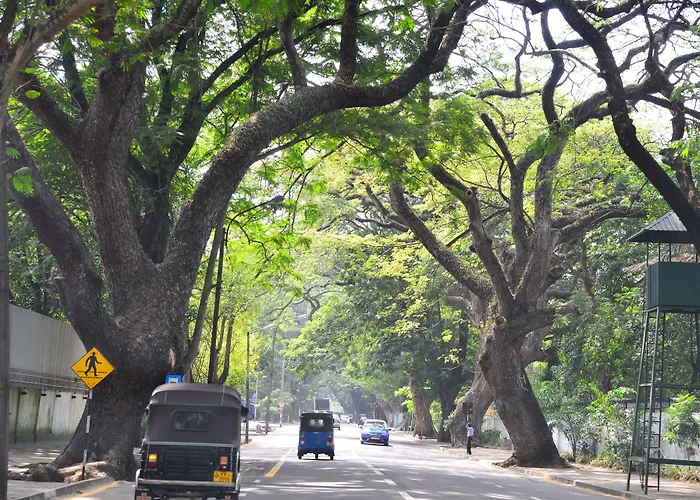 Colombo Villa