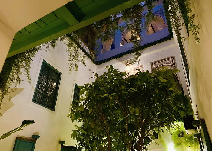 Riad 11 Zitoune
