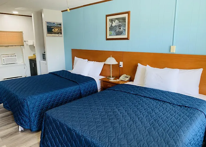 Pets Allowed Hotel Town & Country Motel
