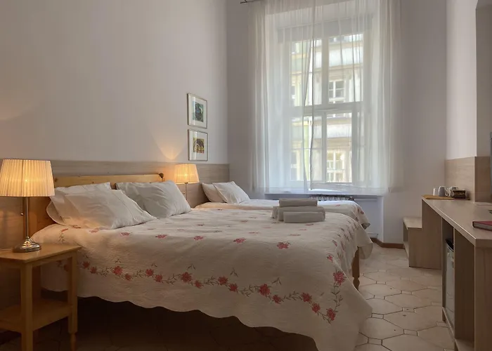 Hotels Close to Airport Boutique