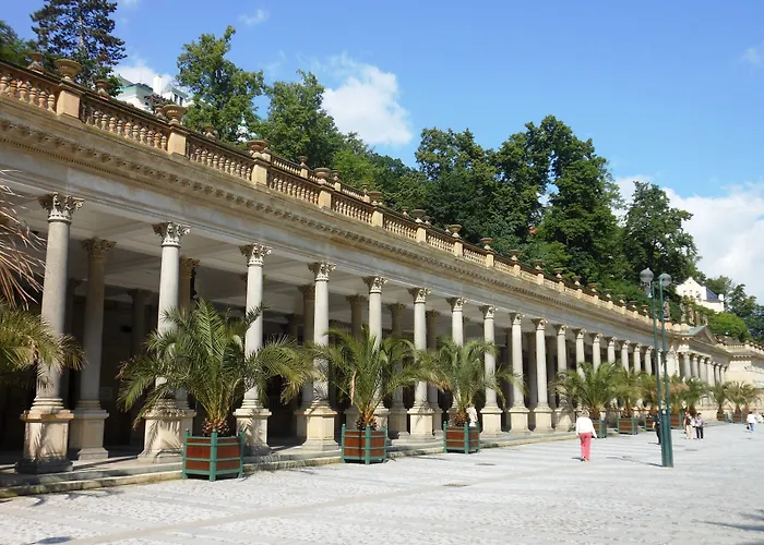 Olympia Wellness