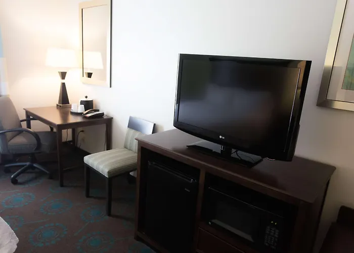 Dog friendly hotels Hampton Inn & Suites Middlebury