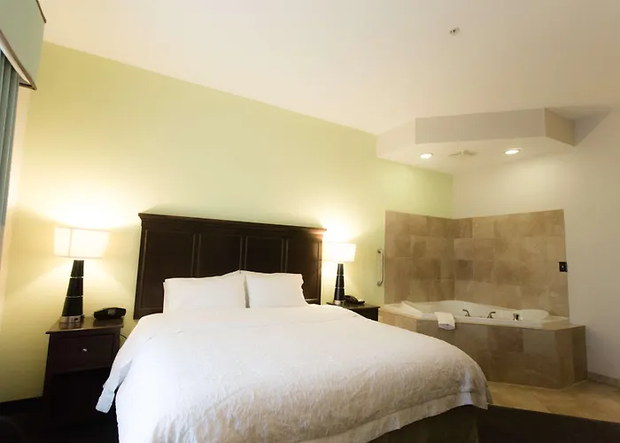 Dog friendly hotels Hampton Inn & Suites Middlebury