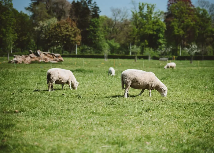 Buitenplaats Vaeshartelt