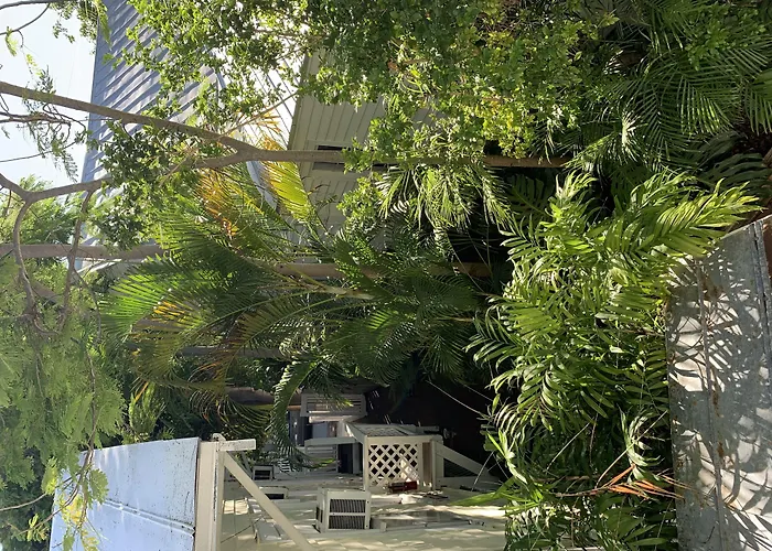 Guests house Garden House