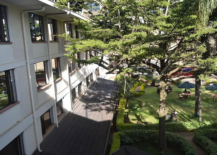 Jacaranda