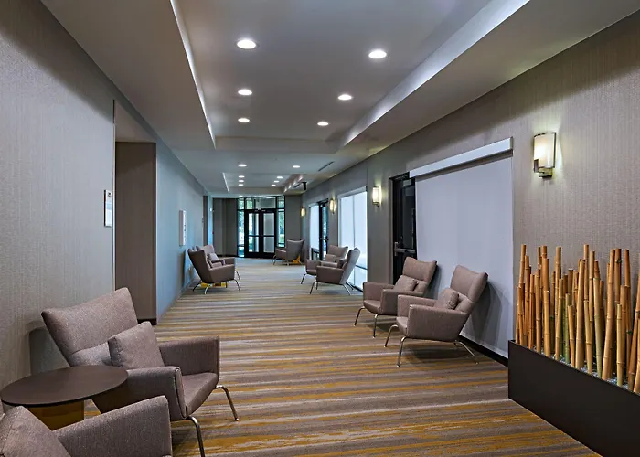 Hotels Close to Airport Springhill Suites By Marriott Dallas Dfw Airport East Las Colinas Irving