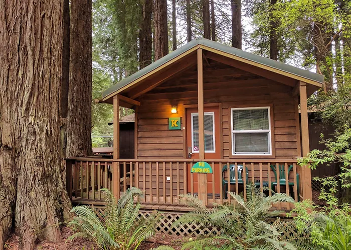 Emerald Forest Cabins