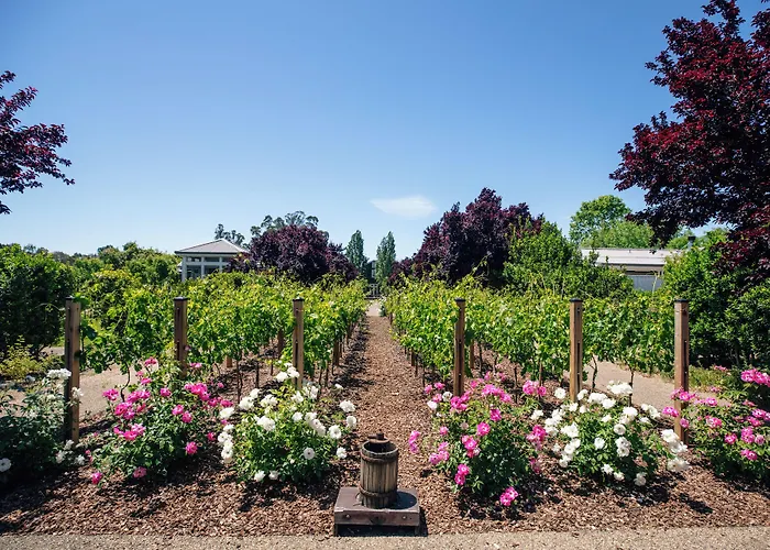 Carneros Resort And Spa