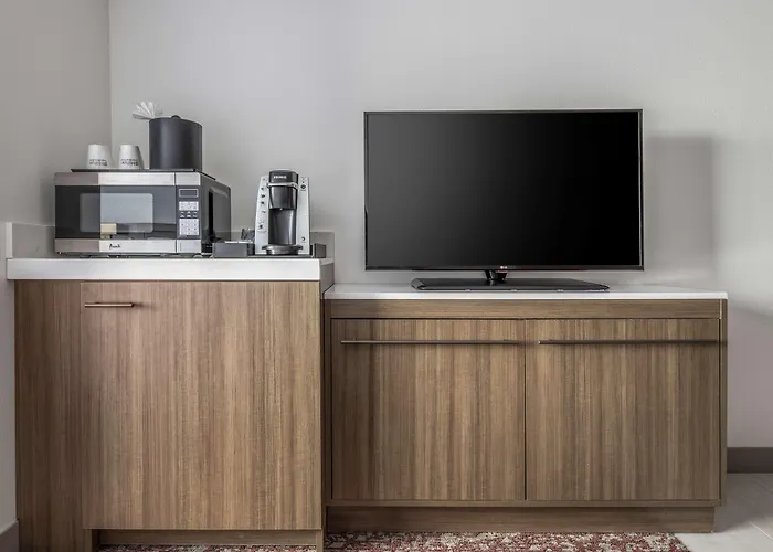 Hilton Garden Inn Dallas/