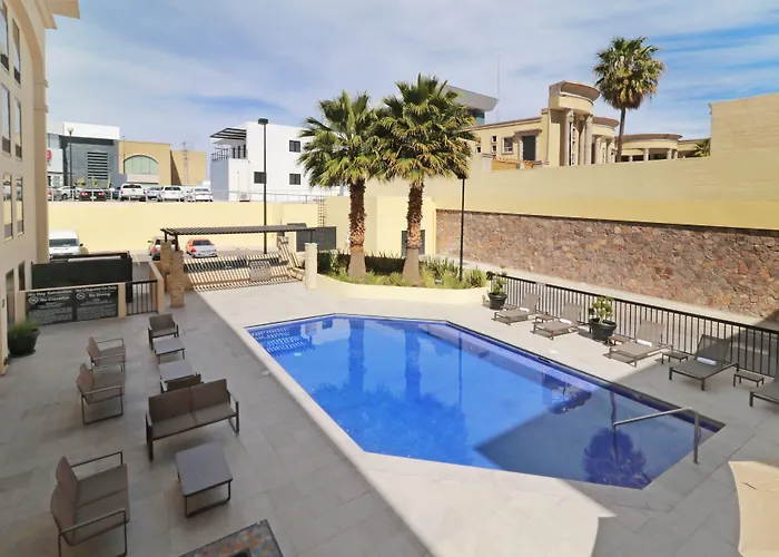 Hampton By Hilton Chihuahua