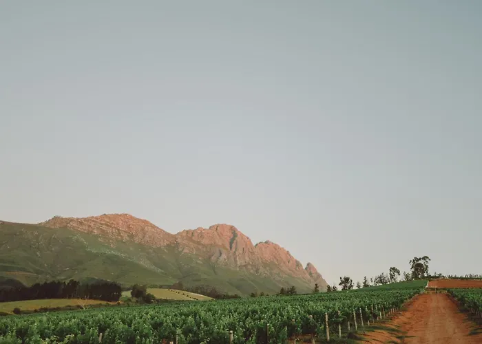  Muratie Wine Estate
