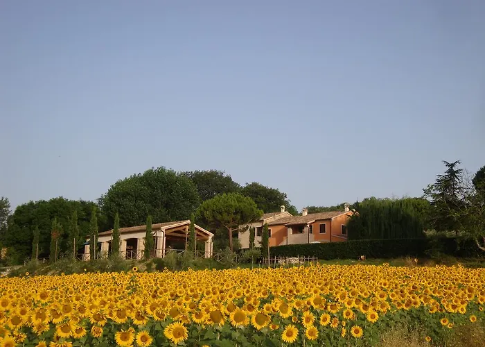 Rustico Del Conero