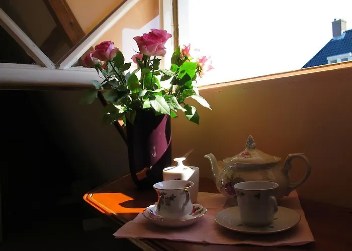  Wild Roses
