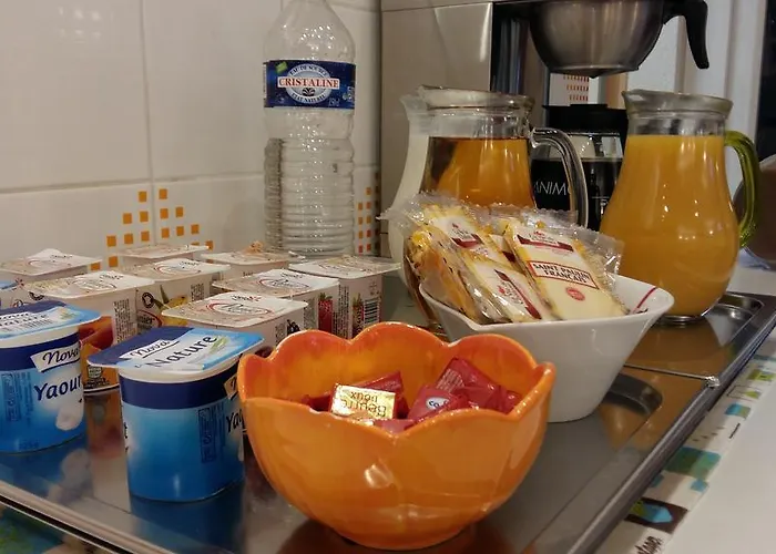 Hôtel accueillant les animaux: Bonsai Hotel D'Orleans