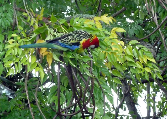 Hotel: Peace And Plenty Inn