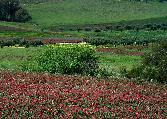 Ciuri Di Badia