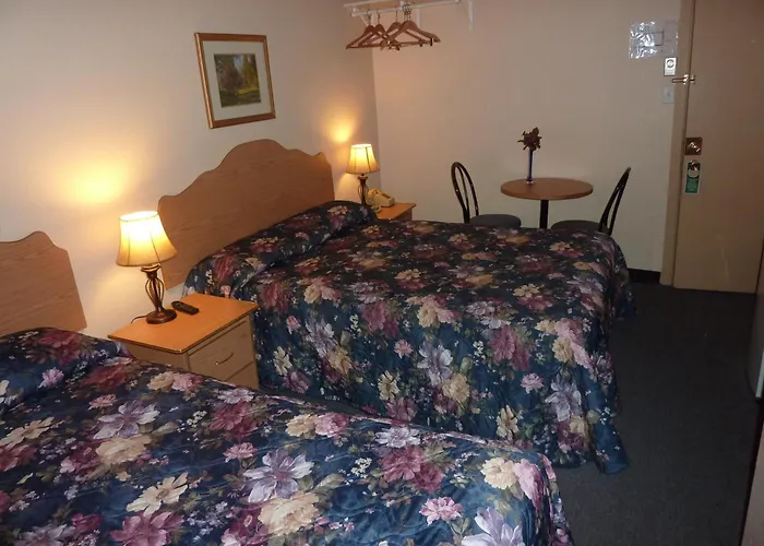 Central hotel: Hotel Viger