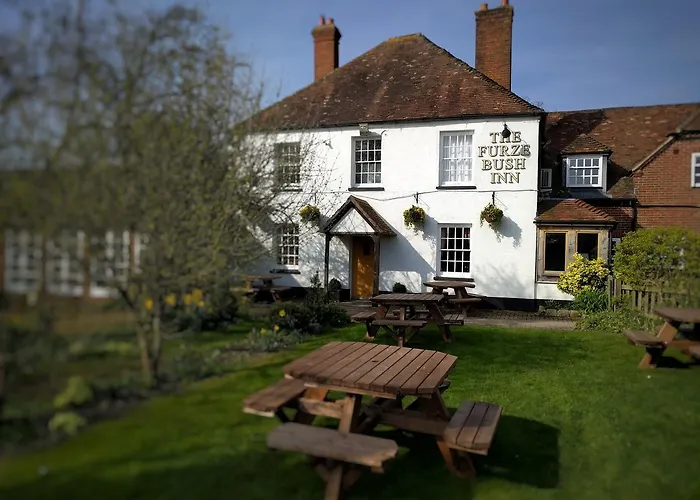 Hotels with a view Furze Bush Inn