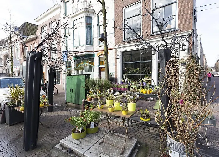 Lange Mare City Leiden