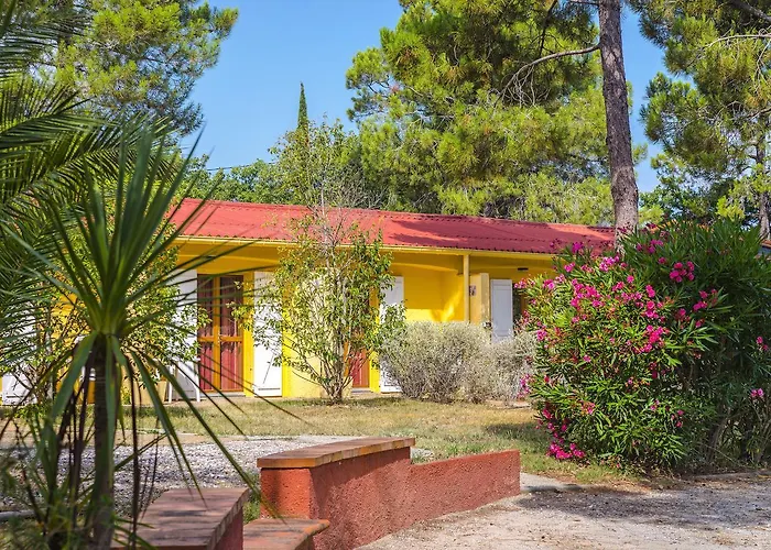 Hotel que admite mascotas: Azureva Argeles