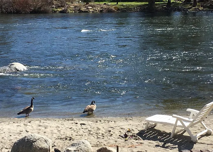 Beach hotel: River'S Edge Lodge