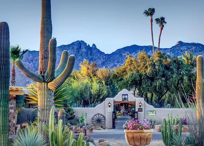 Best Tucson Hotels For Families With Kids