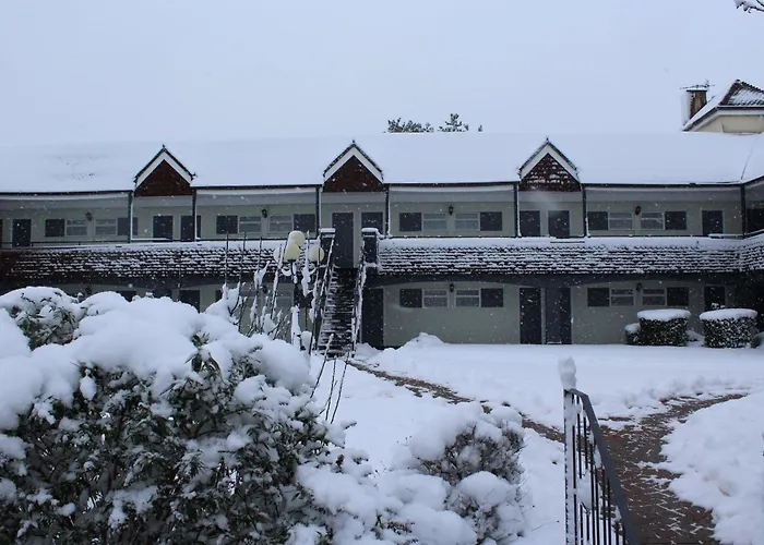 Casa degli ospiti: The Town & Country Lodge