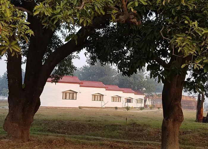 Living Green Farms