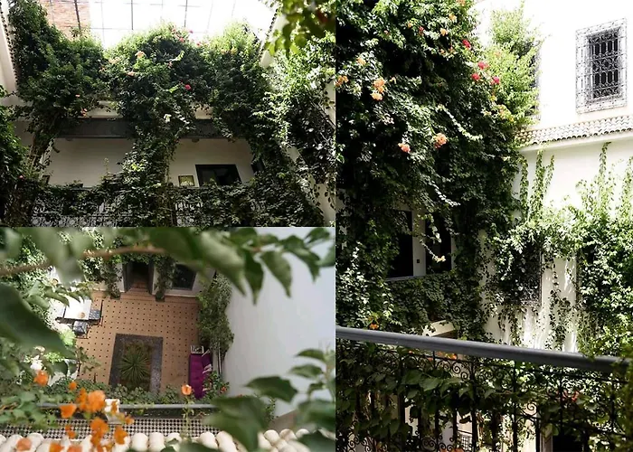 Hotel de playa: Bougainvillea Riad