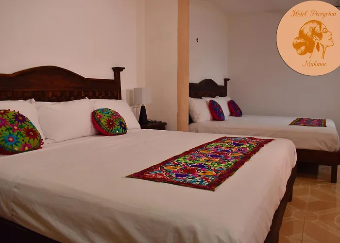 Hotel de 3 estrellas: Hotel Peregrina