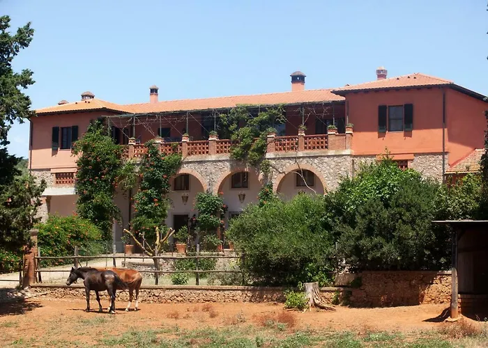 Casa vacanza: Agriturismo Grazia