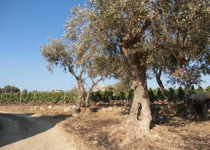 Ciriga Sicily Glamping Glamping
